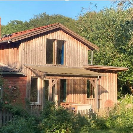 Natur Kunst Ferienhaus Neu Darchau Eksteriør bilde